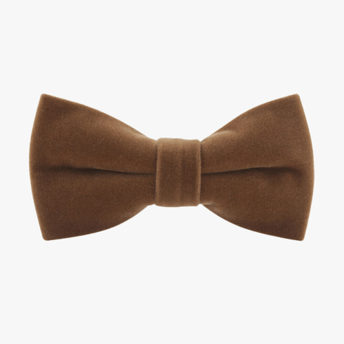 Trendy Bow Tie for Him